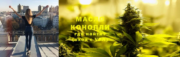 дживик Мегион