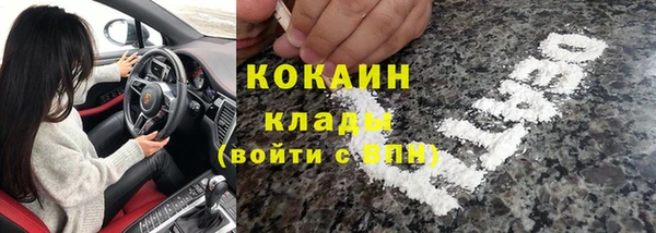дживик Мегион