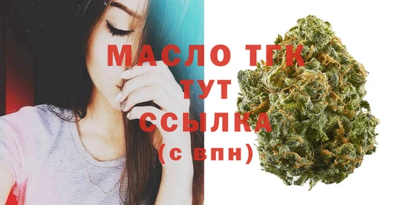 дживик Мегион