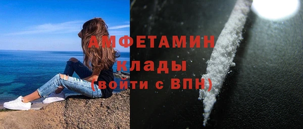 дживик Мегион