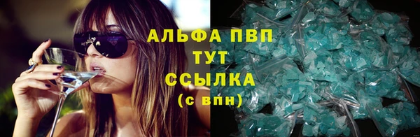 дживик Мегион