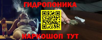 ALPHA PVP Бийск