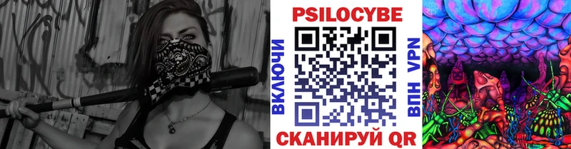 Галлюциногенные грибы Psilocybe  Грозный 