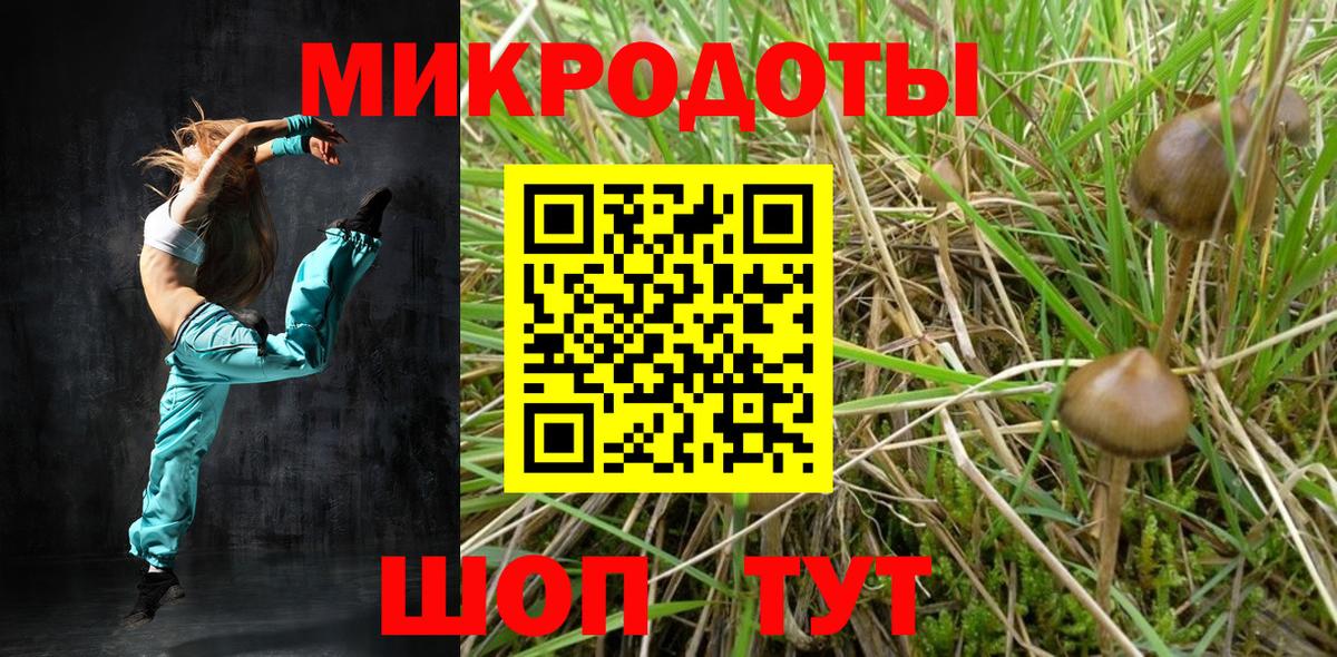 Галлюциногенные грибы Magic Shrooms Грозный