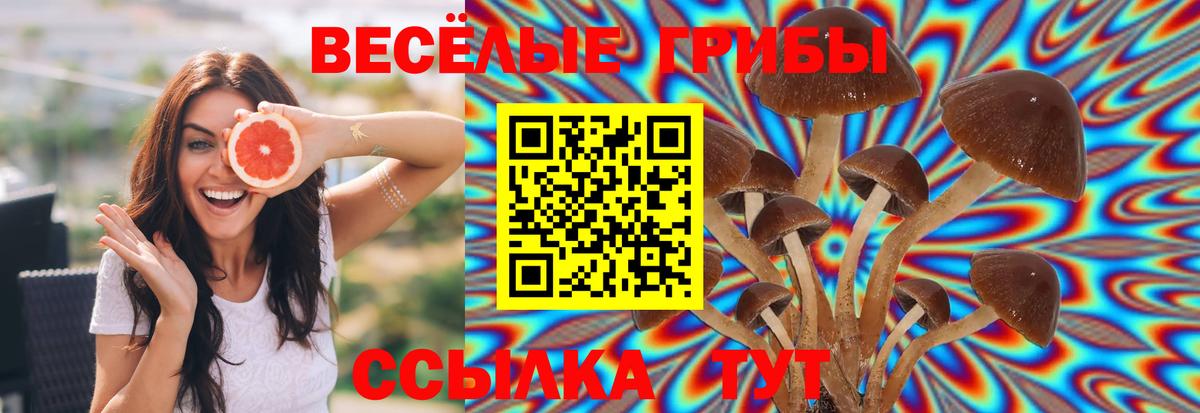 ГАШИШ Грозный